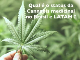 Qual é o status da
Cannabis medicinal
no Brasil e LATAM ?
 