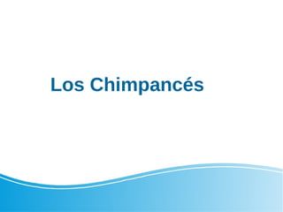 Los Chimpancés
 