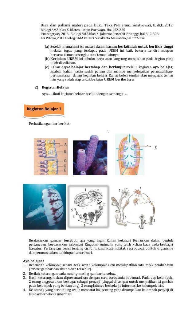 3 9 Animalia 1 Porifera Amp Coelenterata Pramu Man 1 Mojokerto