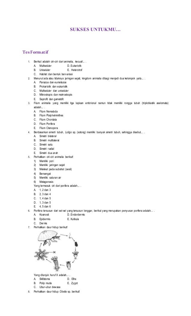 3 9 Animalia 1 Porifera Amp Coelenterata Pramu Man 1 Mojokerto