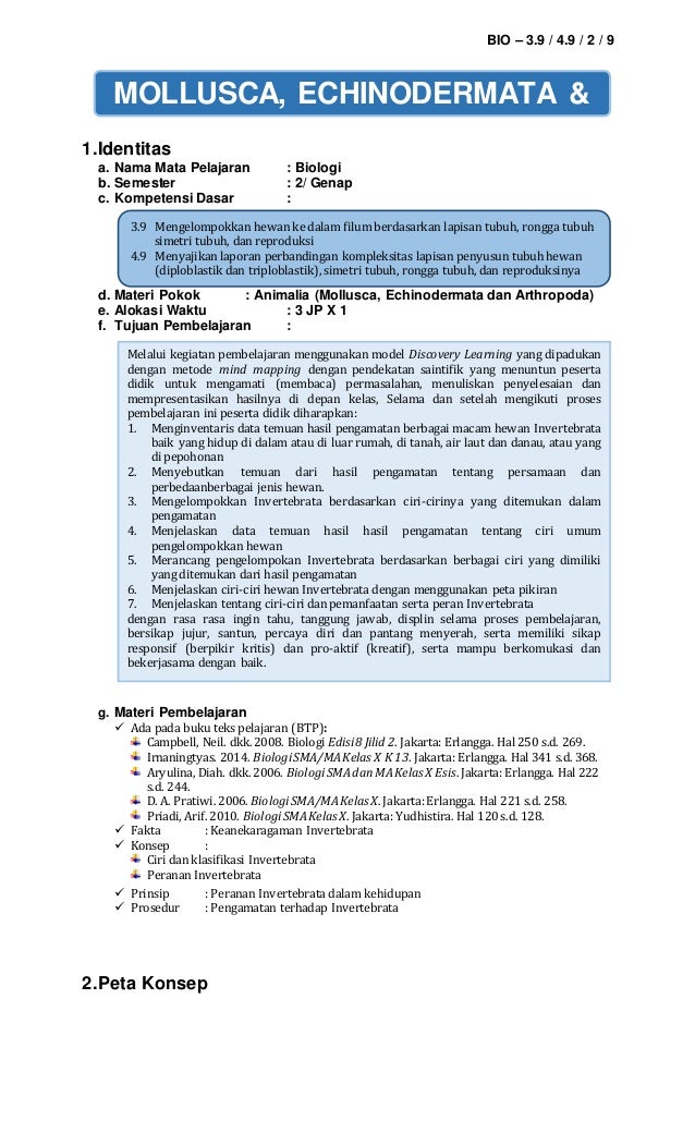 Soal Biologi Kelas 10 Semester 2 Tentang Animalia - Jurnal Download