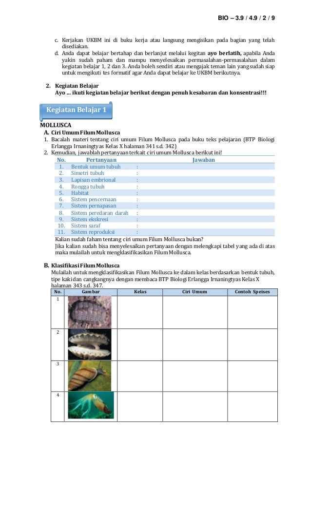 Kunci Jawaban Ukbm Biologi Kelas 10 Semester 2 Download File Guru