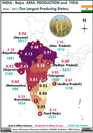 Pearl millet thrives in India's driest regions where annual rainfall is below 500mm