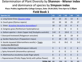 Determination of Plant Diversity by Shannon - Wiener index
and dominance of species by Simpson index
Place: Prabhu Jagatbandhu College Campus, Date: 24.04.2019, Time 4pm to 5.30pm
Field Book 1
Species (n) A1 A2 A3 A4 A5
a. Long Goose Grass Eleusine indica 10 23 21 13 8
b. Couch grass (Elymus repens) 22 30 10 25 27
c. Grass Acrachne (Acrachne henrardiana ) 10 12 13 0 6
d. Congress grass (Parthenium hysterophorus) 2 3 0 0 6
e. Galium aparine + Asian Copper leaf (Acalypha australis) 2+0 0 10+5 2 0
f. Dooryard knotweed (Polygonum aviculare) 0 10 0 19 0
g. Garden Nasturtium (Tropaeolum majus) 0 20 20 15 0
h. Sessile Joyweed (Alternanthera sessilis) + Tragia
involucrata (Bichhuti)
2+1 0 0+2 0 3+2
i. Indian Heliotrope (Heliotropium indicum) 3 1 0 2 6
j. Spiny Amaranth (Amaranthus spinosus) 3 0 0 1 0
h. Abelmoschus esculentus (Lady finger plant) 0 2 0 0 2
i. Papaveraceae (Prickly Poppy family with yellow flower) 13 5 0 1 0
 
