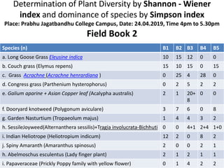 Determination of Plant Diversity by Shannon - Wiener
index and dominance of species by Simpson index
Place: Prabhu Jagatbandhu College Campus, Date: 24.04.2019, Time 4pm to 5.30pm
Field Book 2
Species (n) B1 B2 B3 B4 B5
a. Long Goose Grass Eleusine indica 10 15 12 0 0
b. Couch grass (Elymus repens) 15 10 15 0 15
c. Grass Acrachne (Acrachne henrardiana ) 0 25 4 28 0
d. Congress grass (Parthenium hysterophorus) 0 2 5 2 2
e. Galium aparine + Asian Copper leaf (Acalypha australis) 2 1 20+
8
0 0
f. Dooryard knotweed (Polygonum aviculare) 3 7 6 0 8
g. Garden Nasturtium (Tropaeolum majus) 1 4 4 3 2
h. SessileJoyweed(Alternanthera sessilis)+Tragia involucrata-Bichhuti 0 0 4+1 2+4 1+0
i. Indian Heliotrope (Heliotropium indicum) 12 2 0 8 2
j. Spiny Amaranth (Amaranthus spinosus) 2 0 0 2 1
h. Abelmoschus esculentus (Lady finger plant) 2 1 2 1 1
i. Papaveraceae (Prickly Poppy family with yellow flower) 0 1 4 2 2
 