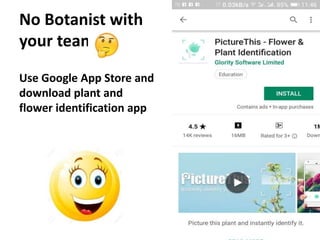 No Botanist with
your team?
Use Google App Store and
download plant and
flower identification app
 