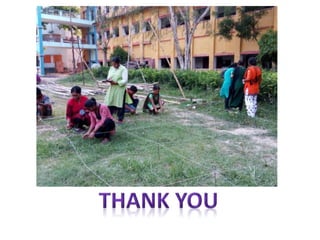 3. Plant diversity mapping  