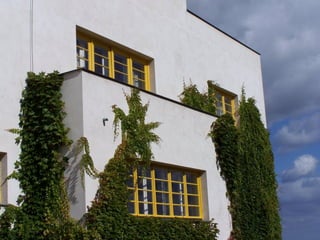 Adolf loos
