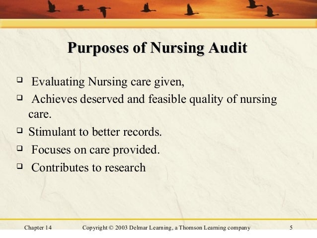 nursing home audits