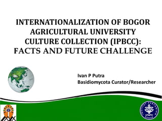 INTERNATIONALIZATION OF BOGOR
AGRICULTURAL UNIVERSITY
CULTURE COLLECTION (IPBCC):
FACTS AND FUTURE CHALLENGE
Ivan P Putra
Basidiomycota Curator/Researcher
 