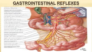 GASTROINTESTINAL REFLEXES
- A reflex is an involuntary movement or exercise of function in a part, excited in
response to a stimulus applied to the periphery and transmitted to the brain or
spinal cord
-
- 1. Reflexes that are integrated entirely within the gut wall enteric nervous
system – secretion, peristalsis, mixing contractions
- 2. Reflexes from the gut to the prevertebral sympathetic ganglia and then back
to the GIT
- signals from the stomach to cause evacuation of the colon (the gastrocolic reflex),
- signals from the colon and small intestine to inhibit stomach motility and
stomach secretion (the enterogastric reflexes),
- reflexes from the colon to inhibit emptying of ileal contents into the colon (the
colonoileal reflex).
DR S B PHIRI
 
