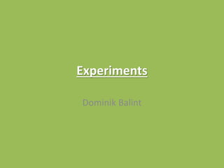 Experiments
Dominik Balint
 