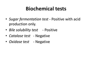 Biochemical tests
• Sugar fermentation test - Positive with acid
production only.
• Bile solubility test - Positive
• Catalase test - Negative
• Oxidase test - Negative
 