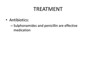 TREATMENT
• Antibiotics:
– Sulphonamides and penicillin are effective
medication
 
