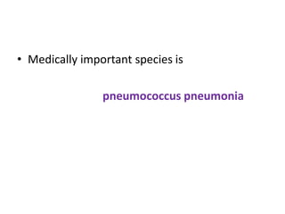 • Medically important species is
pneumococcus pneumonia
 
