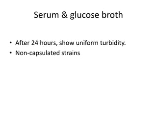 Serum & glucose broth
• After 24 hours, show uniform turbidity.
• Non-capsulated strains
 