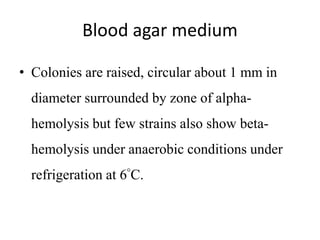 Blood agar medium
• Colonies are raised, circular about 1 mm in
diameter surrounded by zone of alpha-
hemolysis but few strains also show beta-
hemolysis under anaerobic conditions under
refrigeration at 6°C.
 