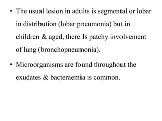• The usual lesion in adults is segmental or lobar
in distribution (lobar pneumonia) but in
children & aged, there Is patchy involvement
of lung (bronchopneumonia).
• Microorganisms are found throughout the
exudates & bacteraemia is common.
 