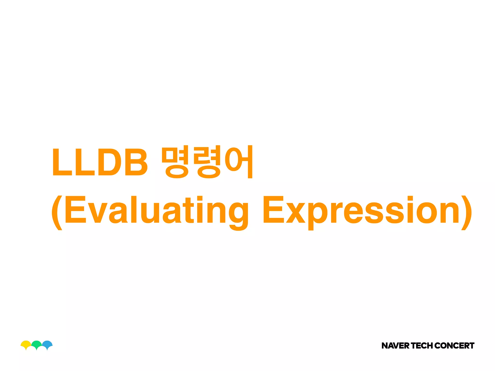 LLDB
(Evaluating Expression)
 