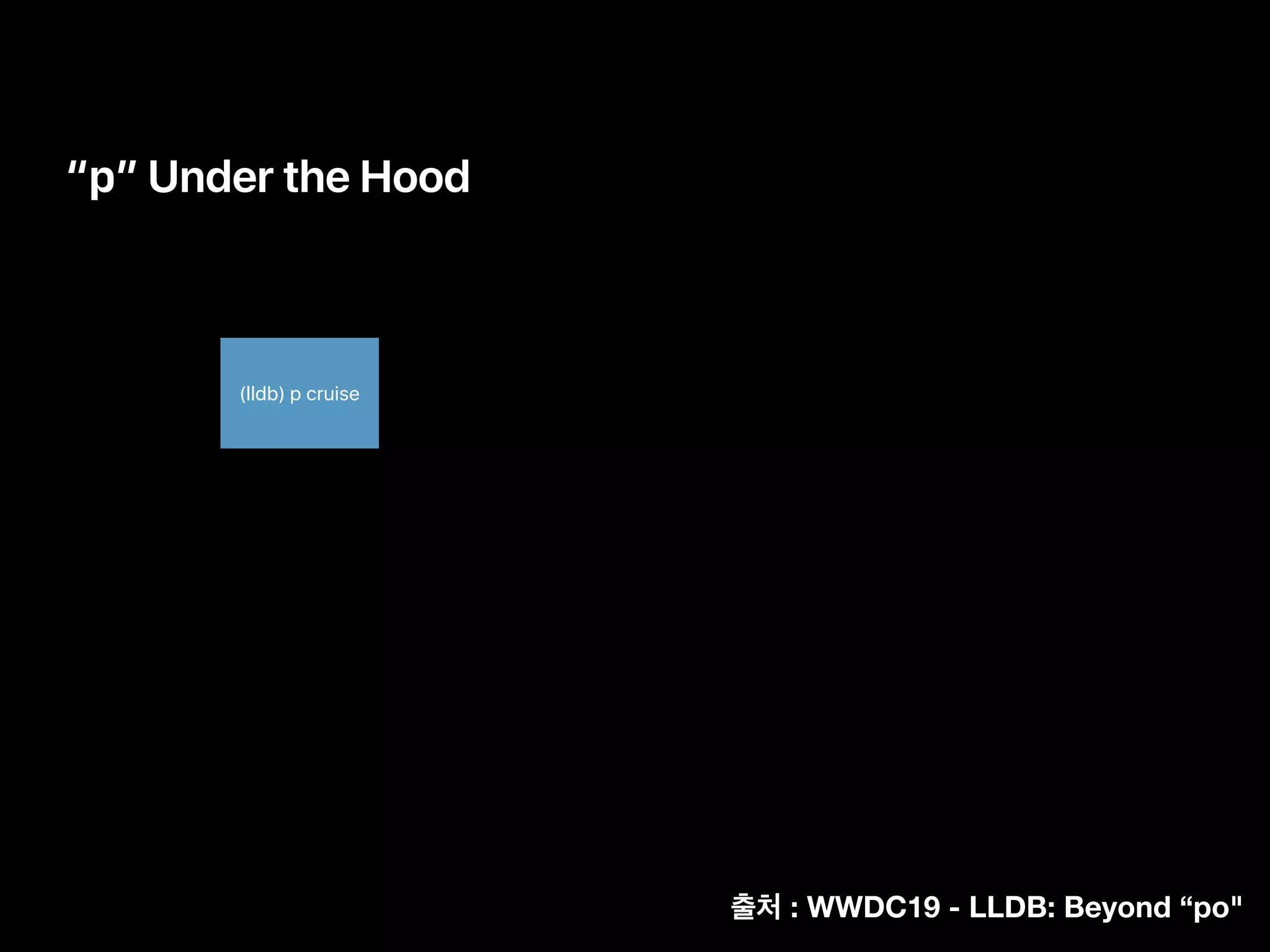 “p” Under the Hood
(lldb) p cruise
: WWDC19 - LLDB: Beyond “po"
 