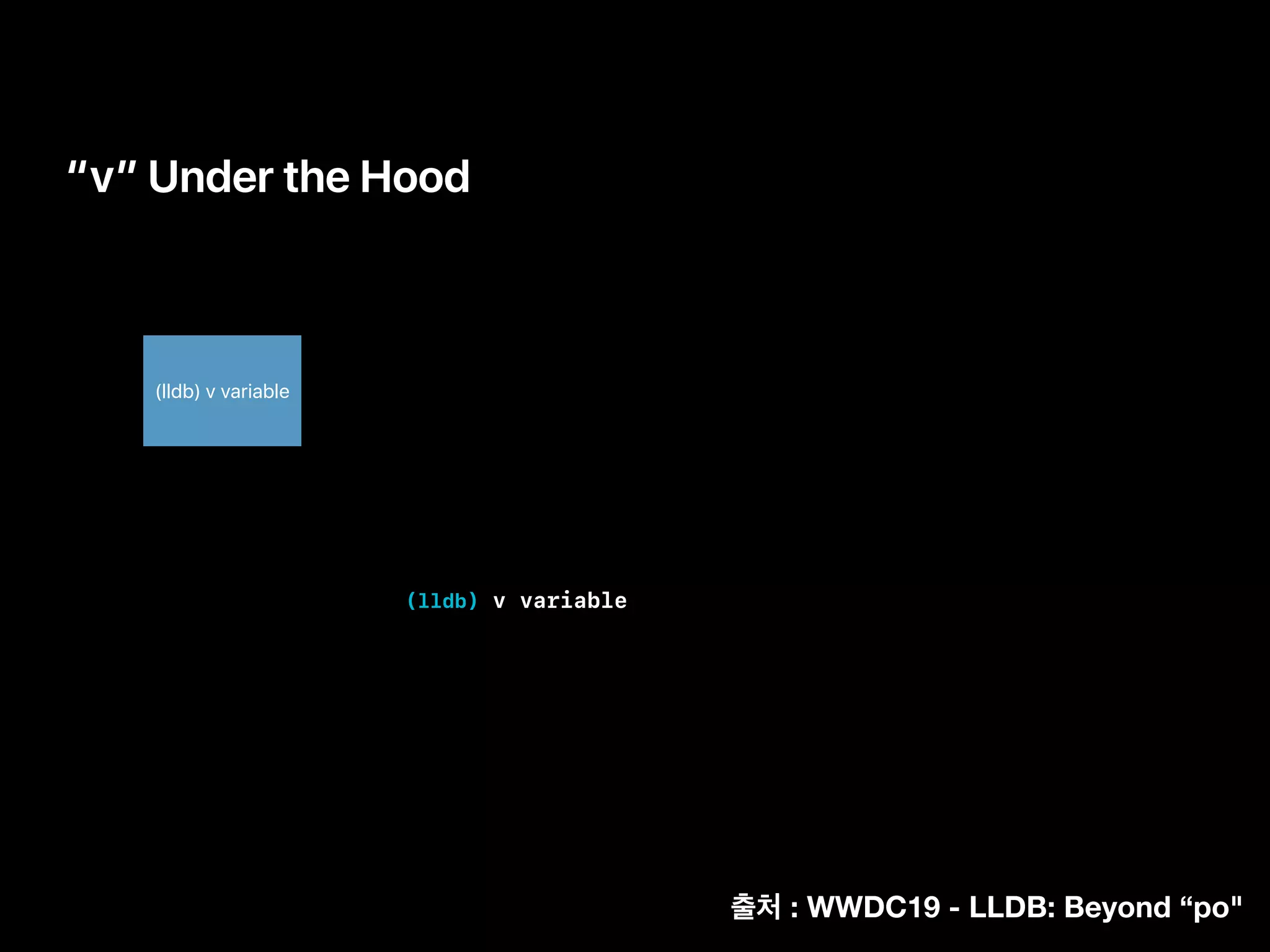 “v” Under the Hood
(lldb) v variable
(lldb) v variable
: WWDC19 - LLDB: Beyond “po"
 