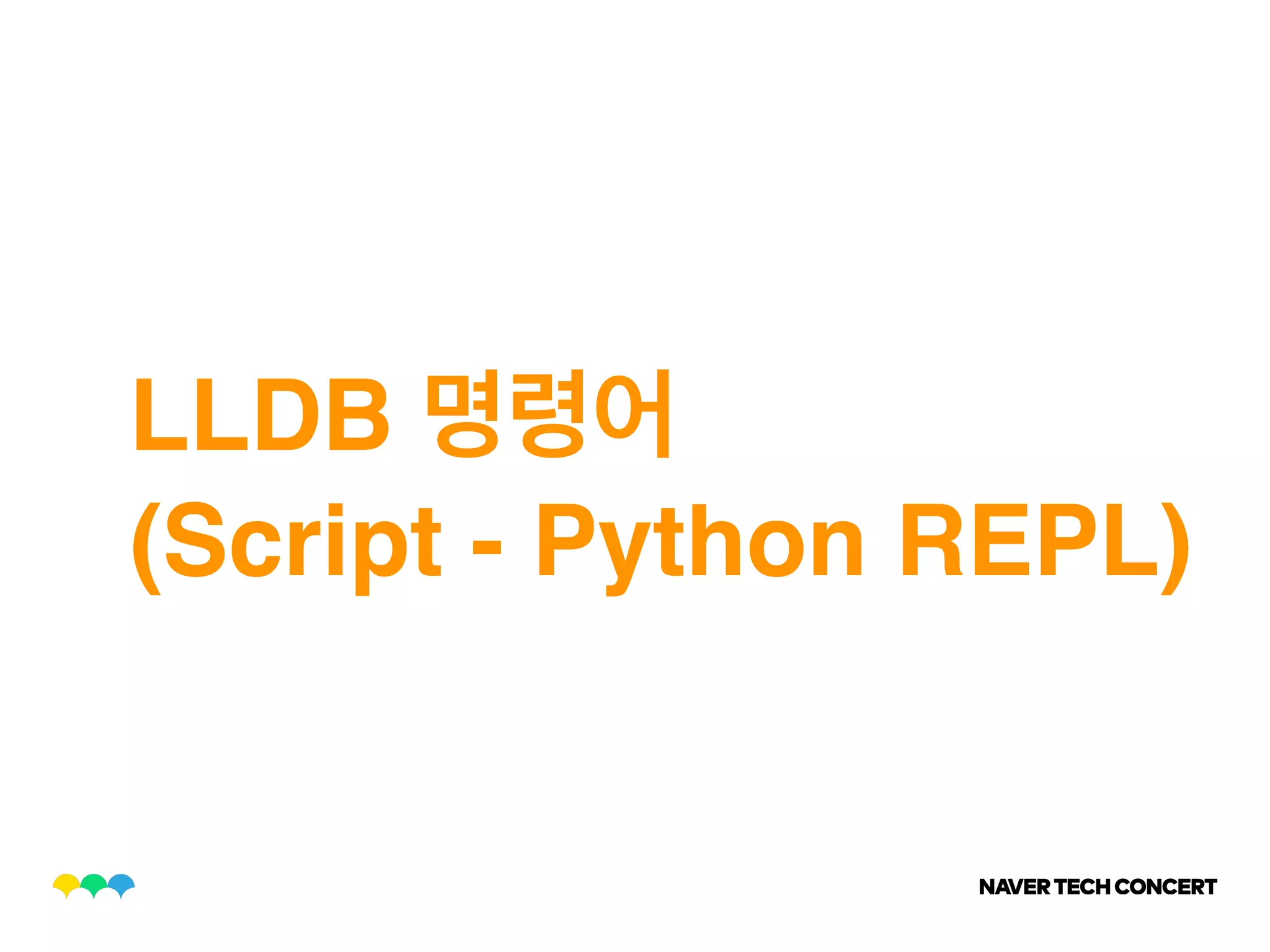 LLDB
(Script - Python REPL)
 