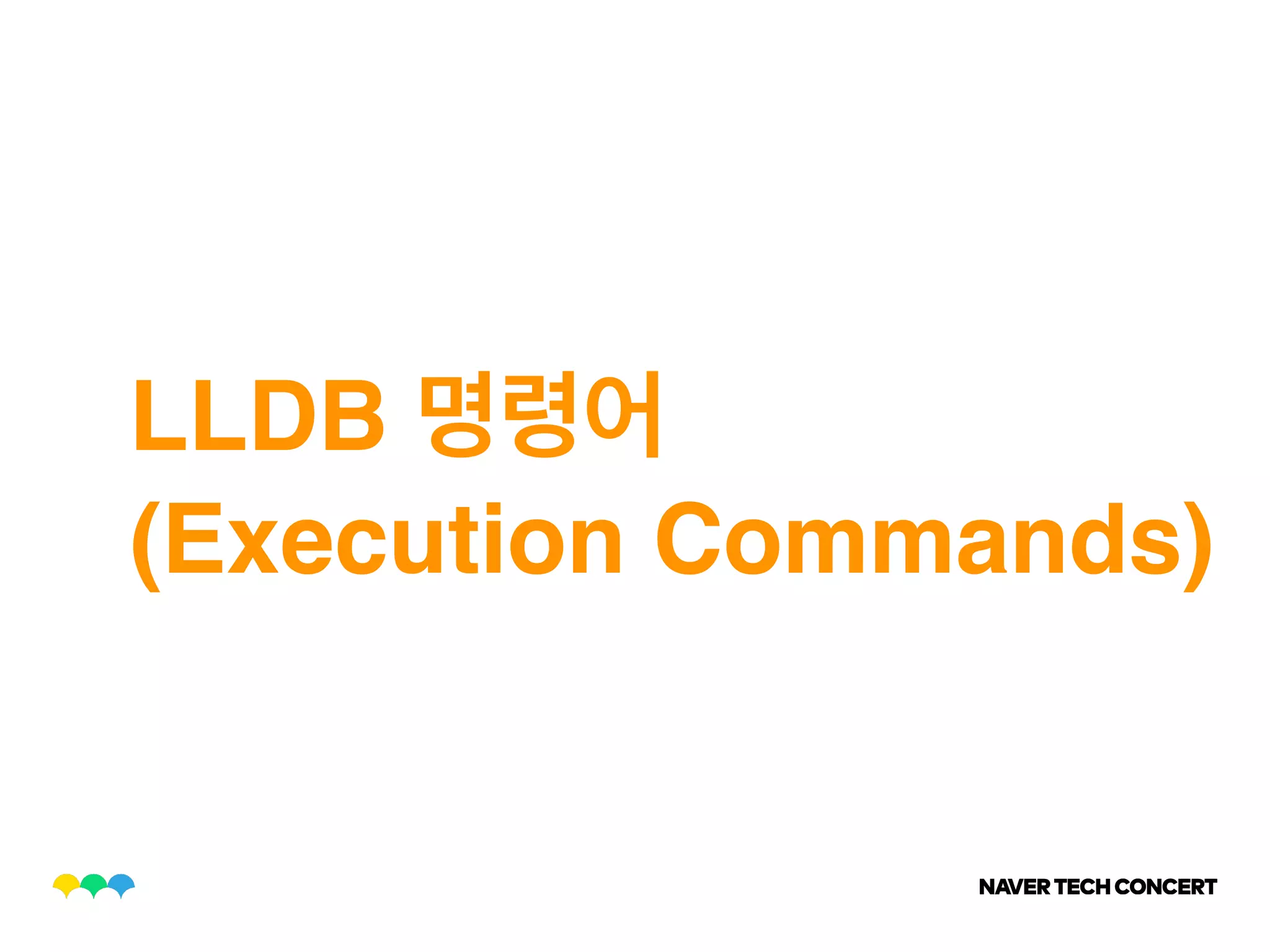 LLDB
(Execution Commands)
 