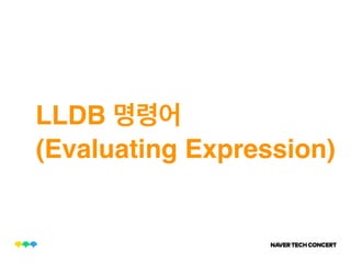 LLDB
(Evaluating Expression)
 