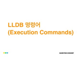 LLDB
(Execution Commands)
 