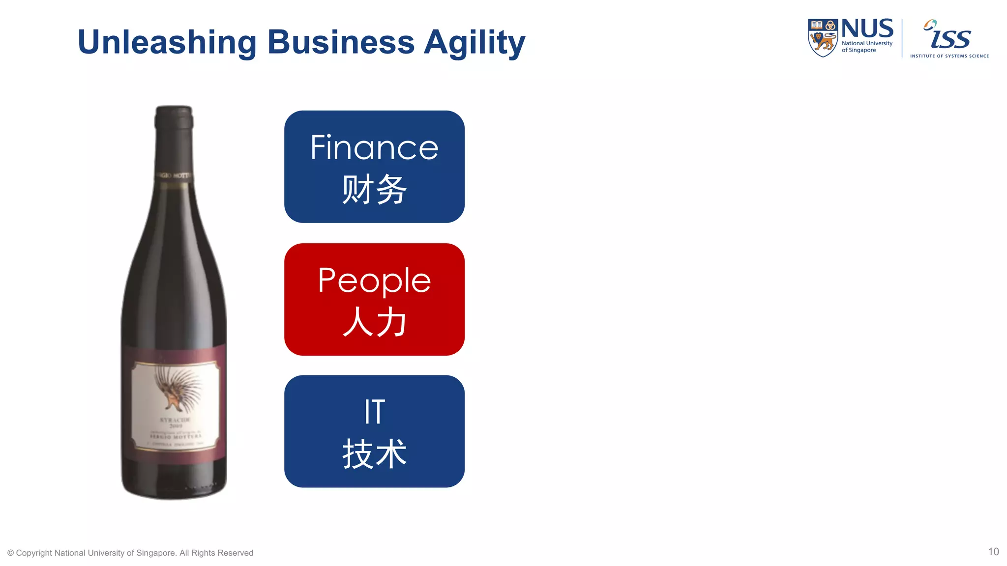 Unleashing Business Agility
© Copyright National University of Singapore. All Rights Reserved 10
Finance
财务
People
人力
IT
技术
 