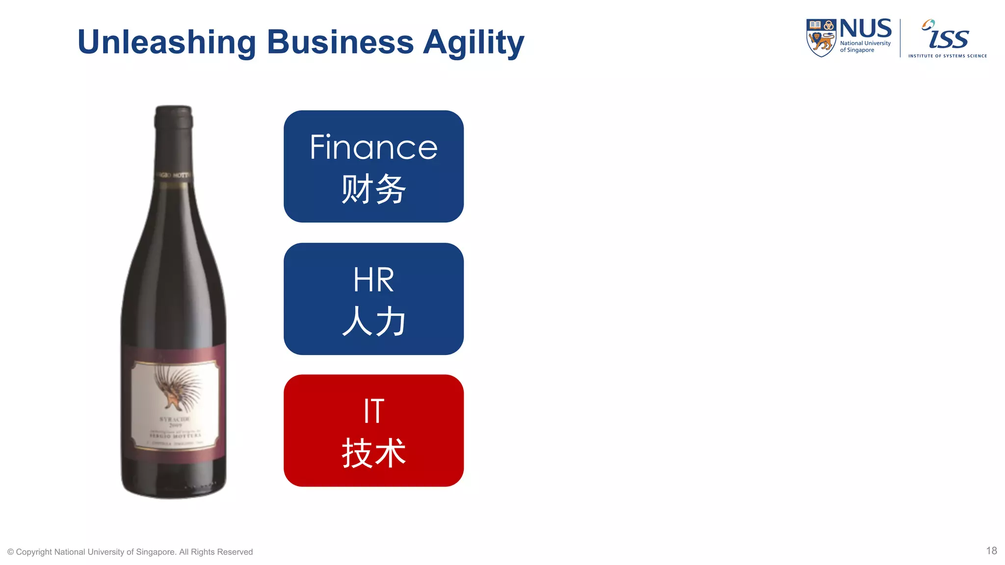 Unleashing Business Agility
© Copyright National University of Singapore. All Rights Reserved 18
Finance
财务
HR
人力
IT
技术
 