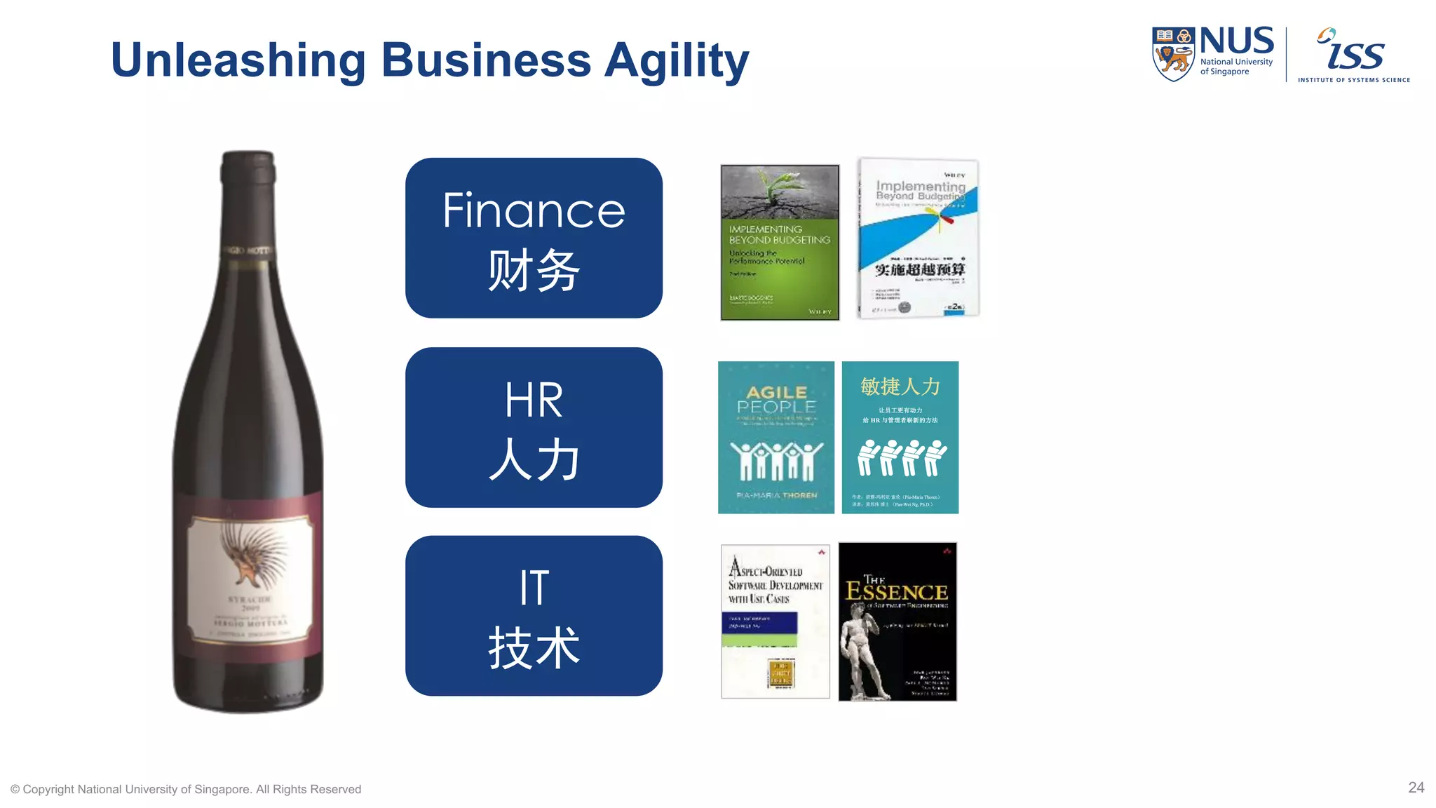 Unleashing Business Agility
© Copyright National University of Singapore. All Rights Reserved 24
Finance
财务
HR
人力
IT
技术
 