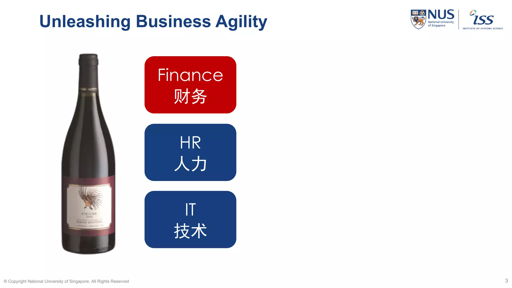 Unleashing Business Agility
© Copyright National University of Singapore. All Rights Reserved 3
Finance
财务
HR
人力
IT
技术
 