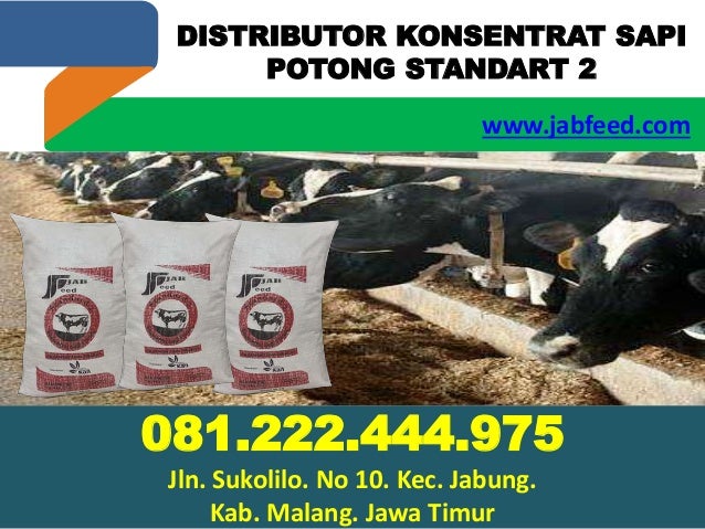 081 222 444 975 Distributor Konsentrat Sapi Potong Standart 2