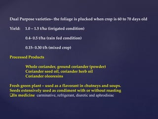 Dual Purpose varieties– the foliage is plucked when crop is 60 to 70 days old
Yield: 1.0 – 1.5 t/ha (irrigated condition)
0.4- 0.5 t/ha (rain fed condition)
0.15- 0.30 t/h (mixed crop)
Processed Products
Whole coriander, ground coriander (powder)
Coriander seed oil, coriander herb oil
Coriander oleoresins
Fresh green plant – used as a flavorant in chutneys and soups.
Seeds extensively used as condiment with or without roasting
In medicine carminative, refrigerant, diuretic and aphrodisiac
 