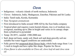 Clove
 Indigenous : volcanic islands of north molucca, Indonesia
 Cloves : Indonesia, India, Madagascar, Zanzibar, Pakistan and Sri Lanka
 India: Tamil nadu, Kerala, Karnataka
 Tree: Syzigium aromaticum
 First introduced to India around 1800 AD by the East India company
 Tropical plant and requires warm humid climate, tree is of medium size,
evergreen, reaching up to 20m in height and varies in its canopy shape
from cylindrical to pyramidal
 Temp: 20-30°C, rainfall: 1500-2000 mm
 Soil: deep red loam, sandy soil, black soil and deep gravelly soil are
suitable but water logged conditions are undesirable.
 Fully grown but unopened dried flower buds- whole buds range from ½ to
¾ inch in length and have spike like shape. Popular for flavor.
 Clove flavor is also available in Clove oil, clove leaf oil and clove stem
oil
 