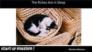 Link Profit System Training
The Riches Are In Sleep
 