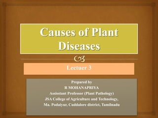 Lectuer 3
Prepared by
R MOHANAPRIYA
Assisstant Professor (Plant Pathology)
JSA College of Agriculture and Technology,
Ma. Podaiyur, Cuddalore district, Tamilnadu
 