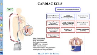 BEACH 2019 – FS Taccone
T1T2T3T4T5T6
T7T8
T9
T10
T11T12L1L2L3
CARDIAC ECLS
 