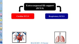 BEACH 2019 – FS Taccone
T1T2T3T4T5T6
T7T8
T9
T10
T11T12L1L2L3
Extra-corporeal life support
(ECLS)
Cardiac ECLS Respiratory ECLS
 