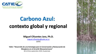 Carbono Azul:
contexto global y regional
Miguel Cifuentes Jara, Ph.D.
miguel.cifuentes@catie.ac.cr
CATIE
Taller: “Desarrollo de una Estrategia para la Conservación y Restauración de
Manglares en el Arrecife Mesoamericano”
18 al 20 de septiembre 2019, Guatemala
 