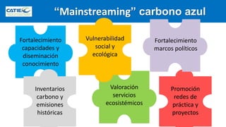 Carbono Azul: contexto global y regional