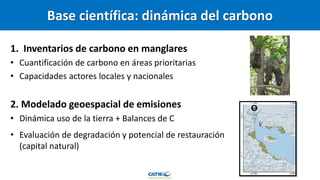 Carbono Azul: contexto global y regional