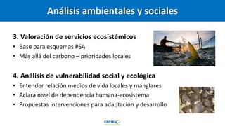 Carbono Azul: contexto global y regional