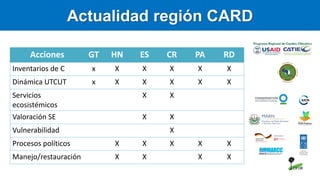 Carbono Azul: contexto global y regional