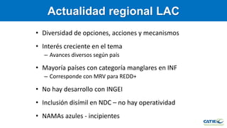 Carbono Azul: contexto global y regional