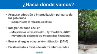 Carbono Azul: contexto global y regional