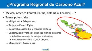 Carbono Azul: contexto global y regional