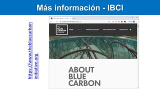 Carbono Azul: contexto global y regional