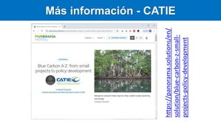 Carbono Azul: contexto global y regional